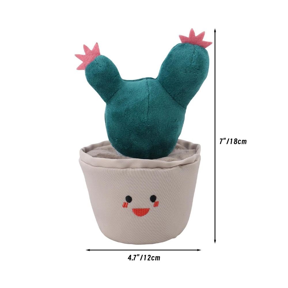 Cuddly Cactus 🌵