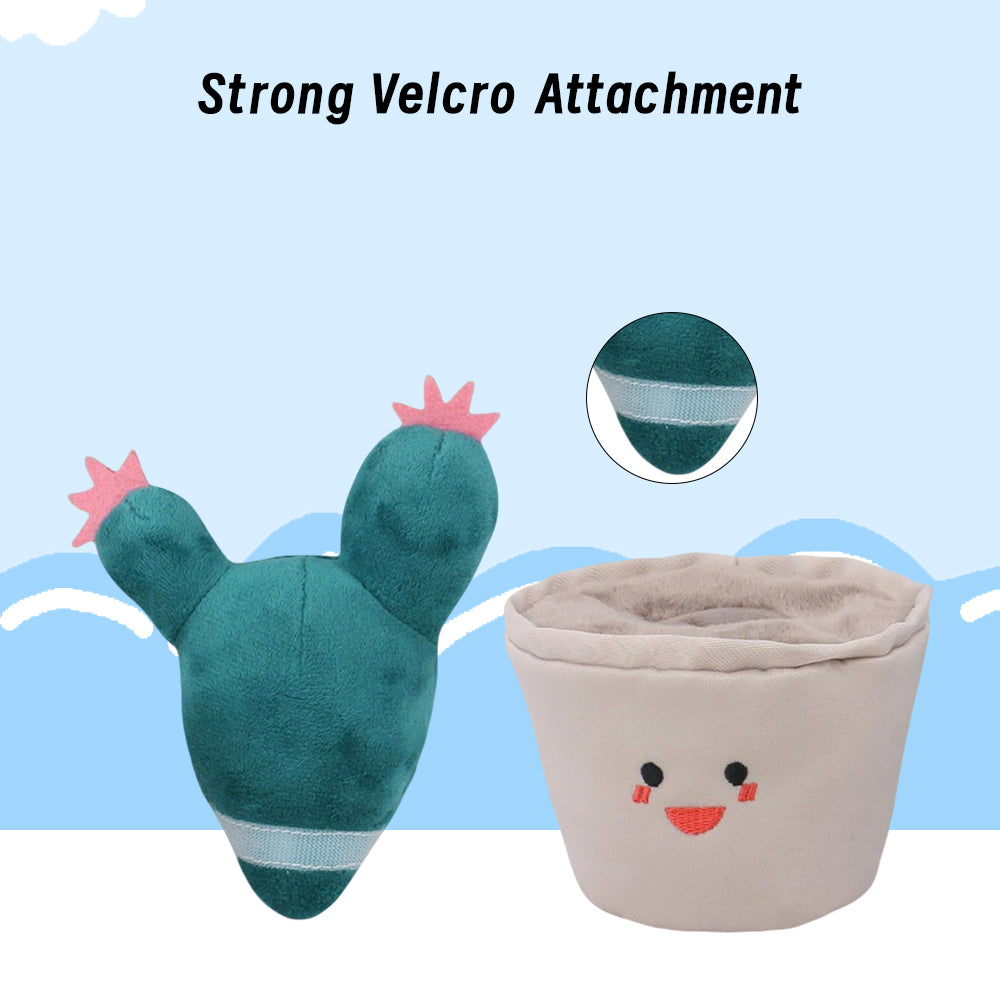 Cuddly Cactus 🌵