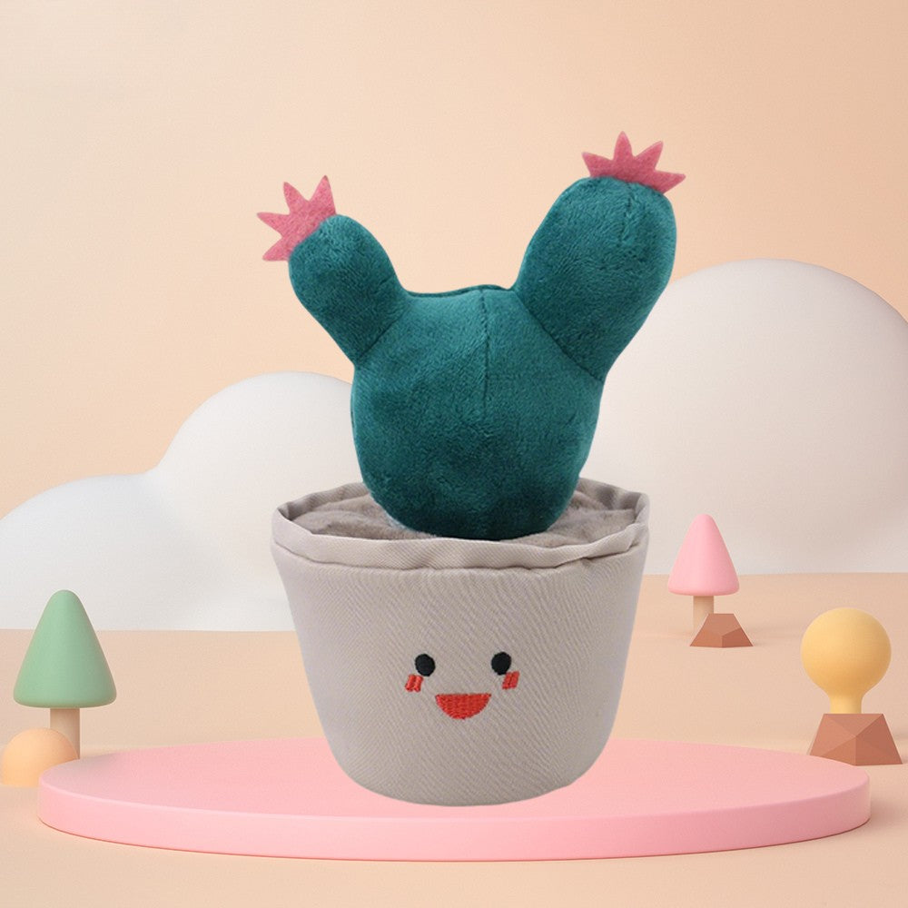 Cuddly Cactus 🌵